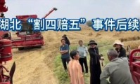 襄阳“割四赔五”风波升级多家派出所出手网红出面也无力扭转